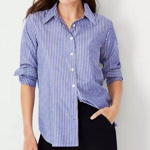 Ann Taylor Light Blue Men's Casual Button Down Shirt